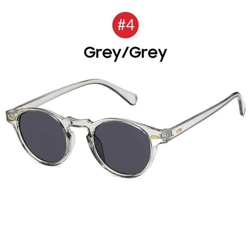 Small Oval Clear Frame Sunglasses