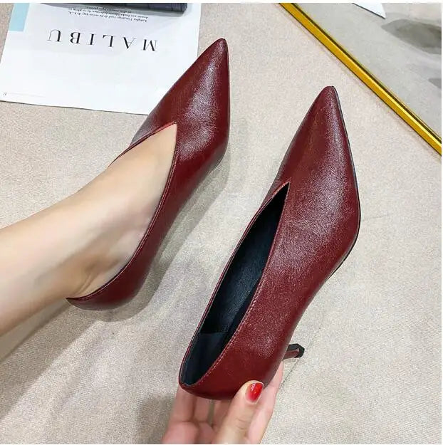 Women's Pointed-Toe V-Cut Pumps