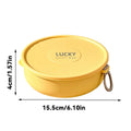Stainless Steel Double-Layer Bento Box