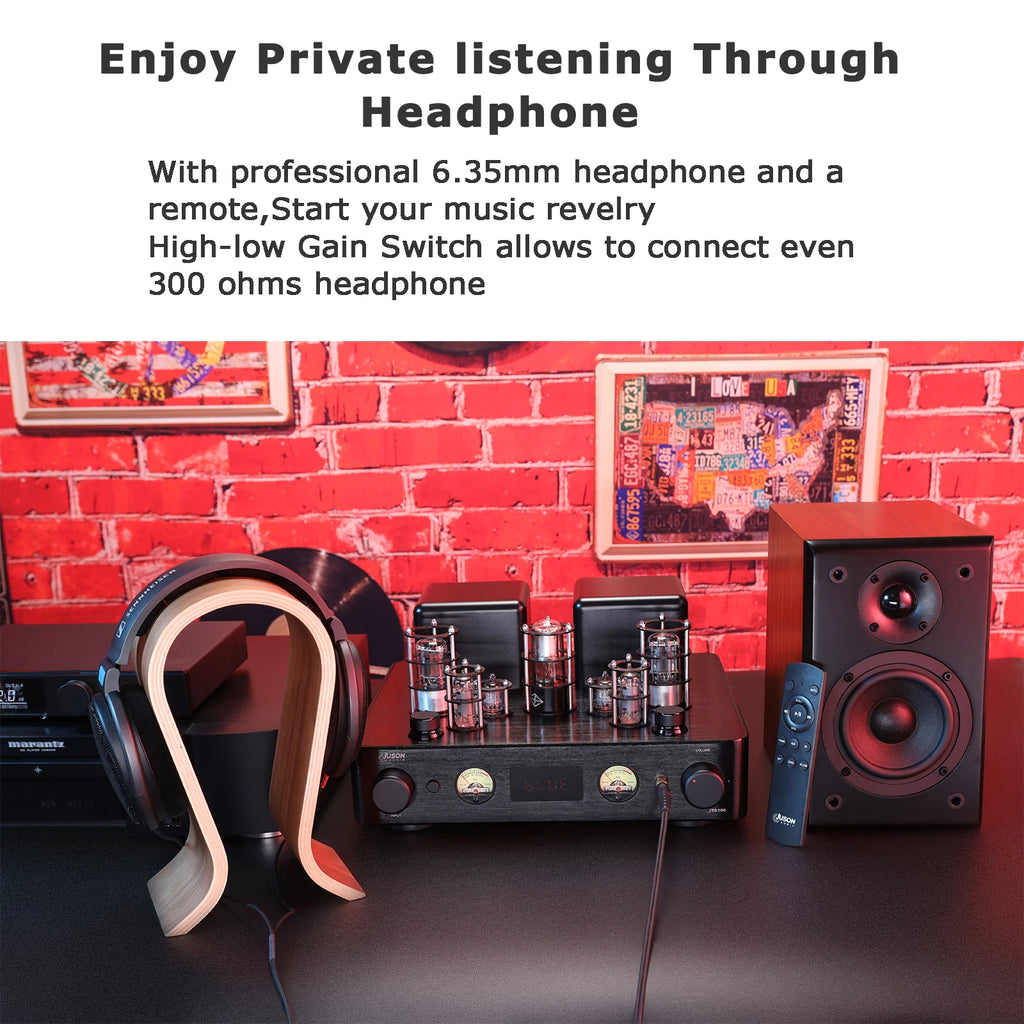 🎧 Juson Audio JTA100 Hybrid Tube Amplifier