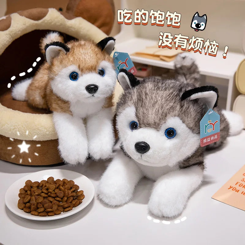 Lying Husky Plush Toy