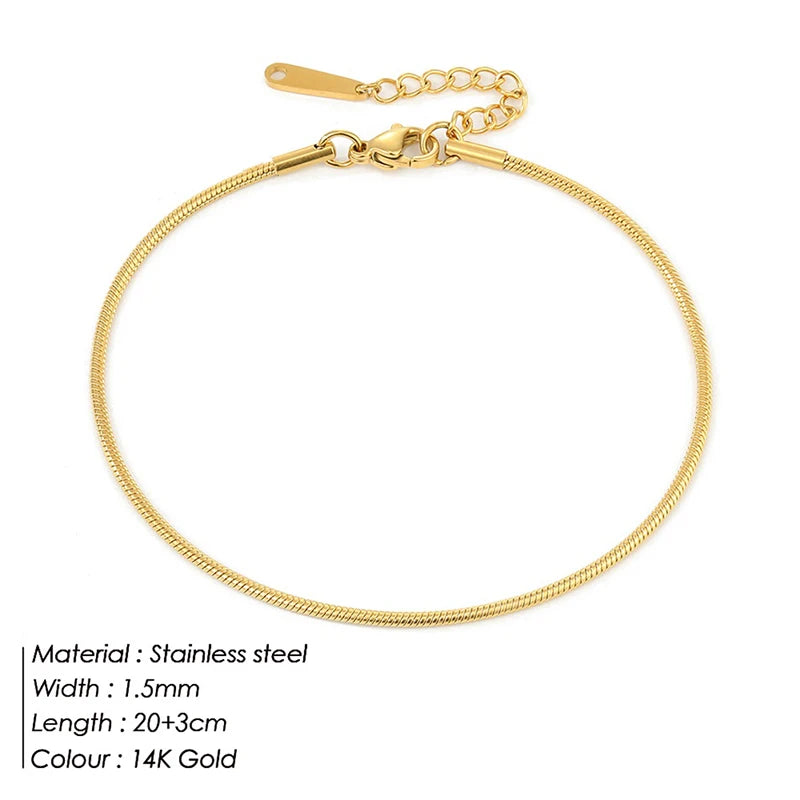 Gold Snake Chain Anklet