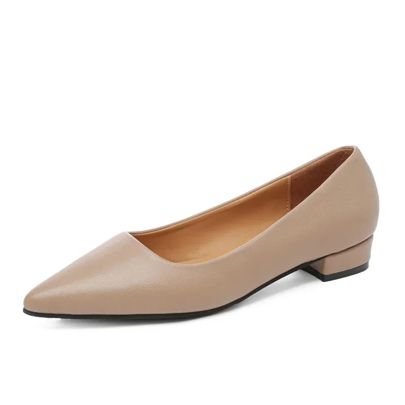 Women's Pointed-Toe Square-Heel Pumps