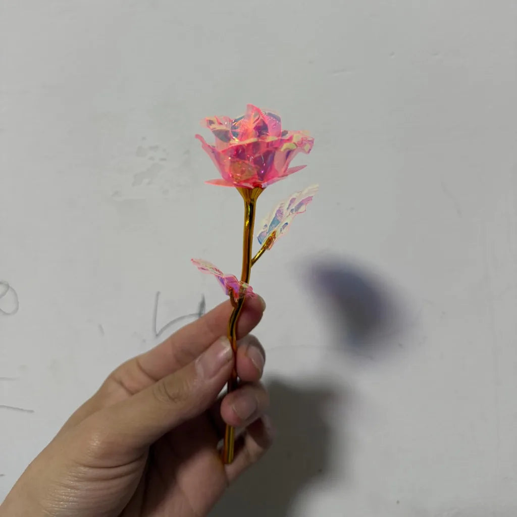Transparent Decorative Rose