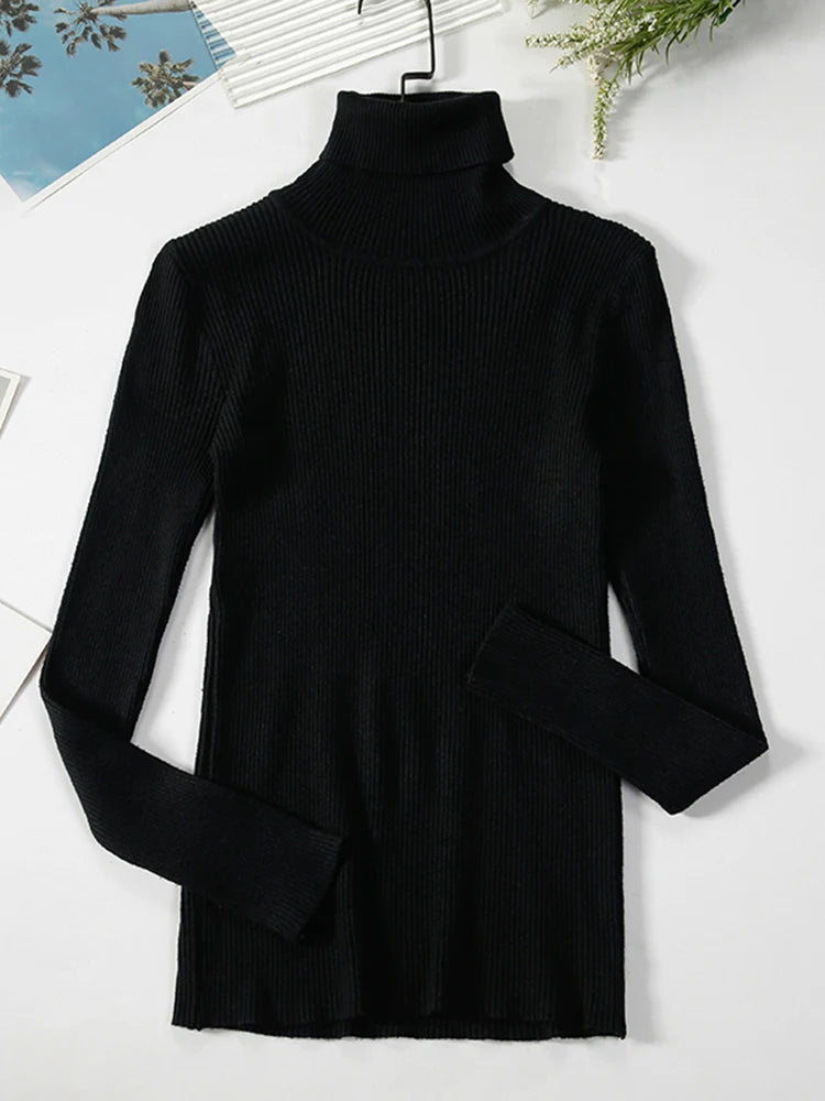 Basic Black Turtleneck Sweater