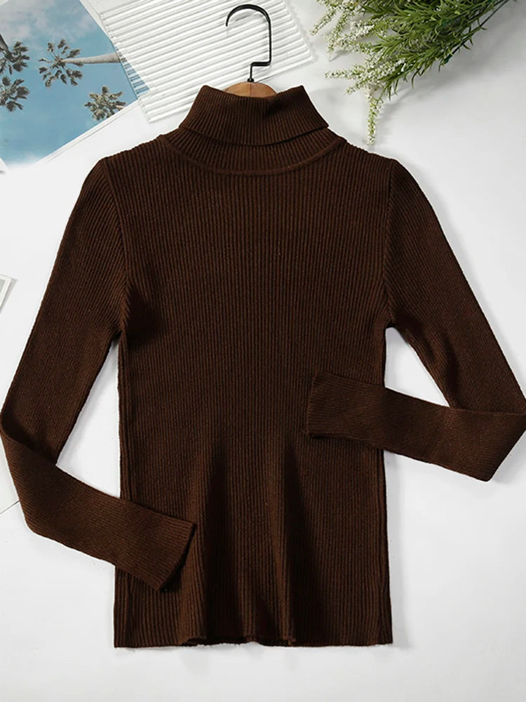 Basic Black Turtleneck Sweater