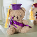 Doctor Teddy Bear Plush