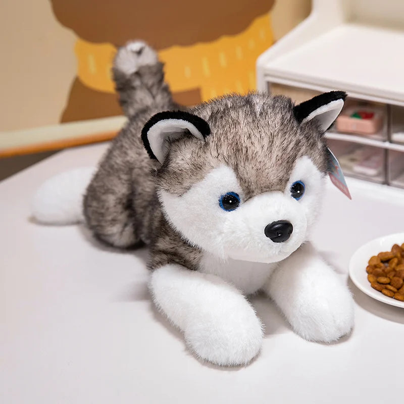 Lying Husky Plush Toy
