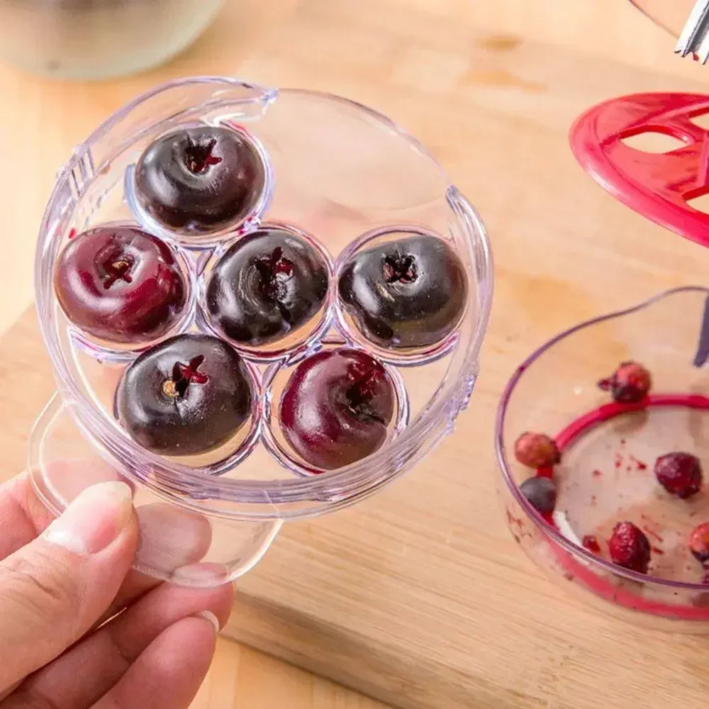 6-Hole Cherry Pitter
