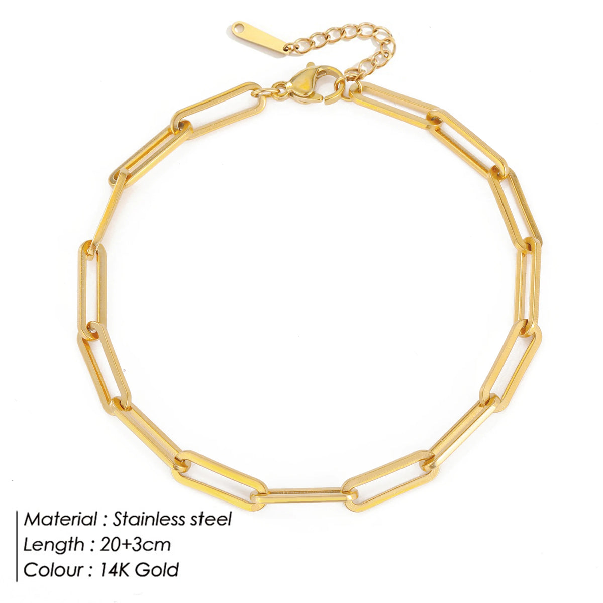 Gold Snake Chain Anklet