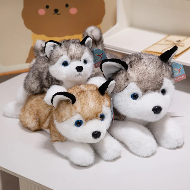 Lying Husky Plush Toy