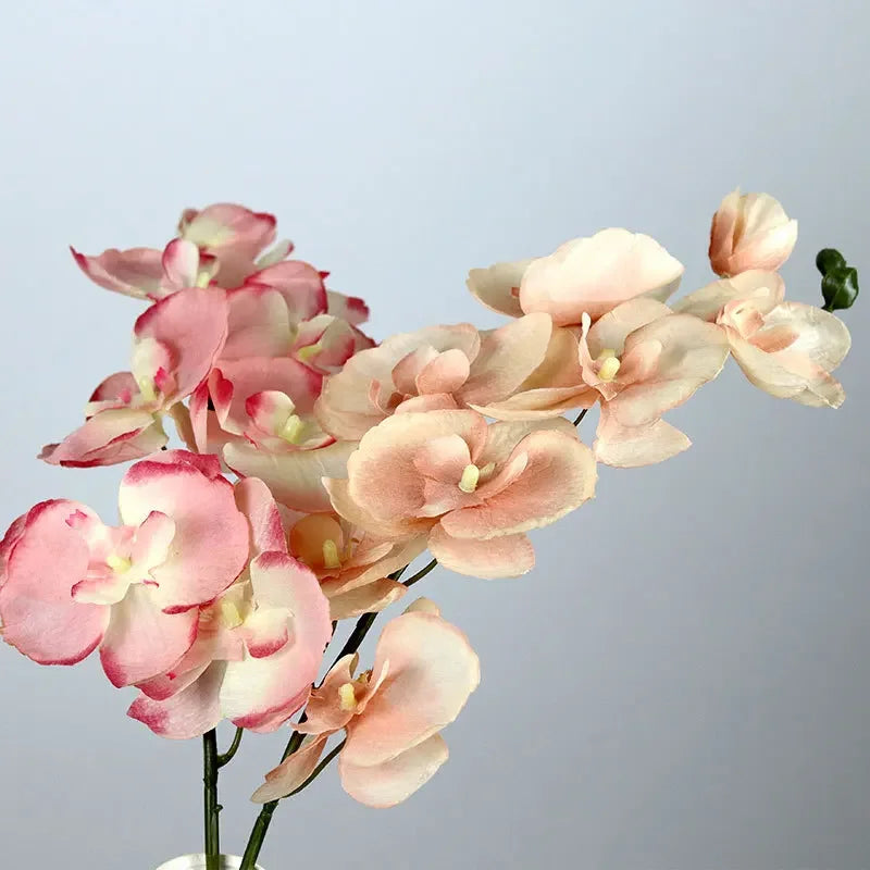 8-Head Silk Butterfly Orchid 70cm