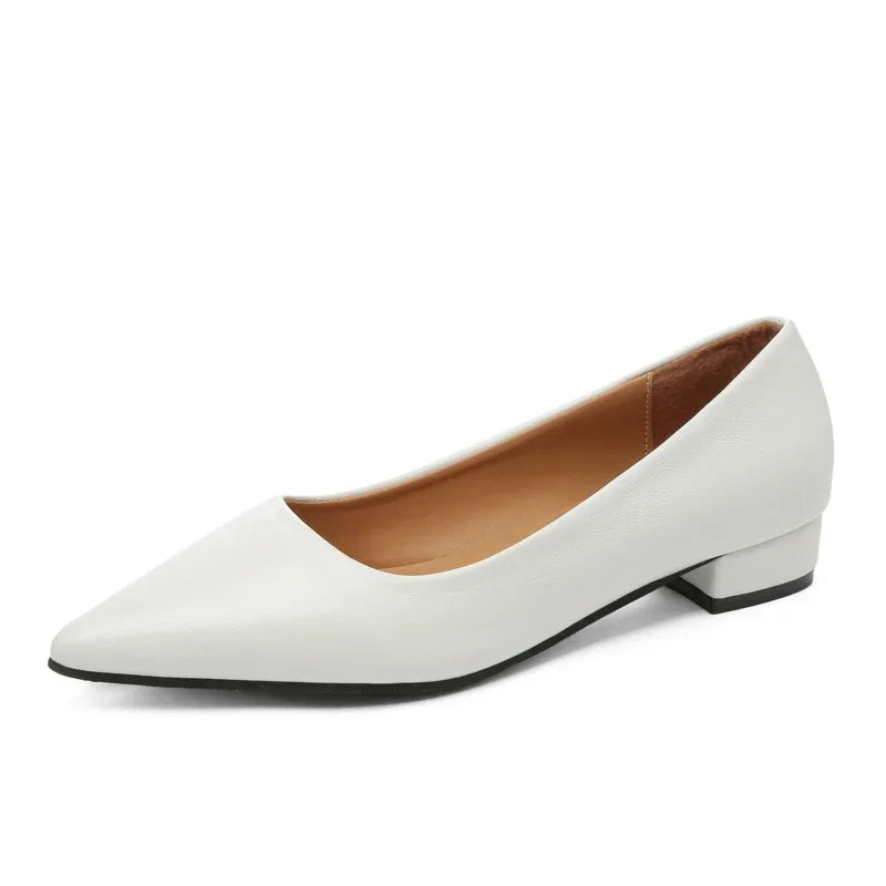 Women's Pointed-Toe Square-Heel Pumps