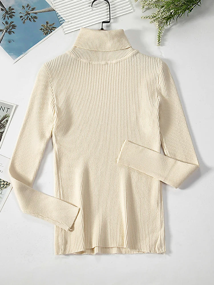 Basic Black Turtleneck Sweater