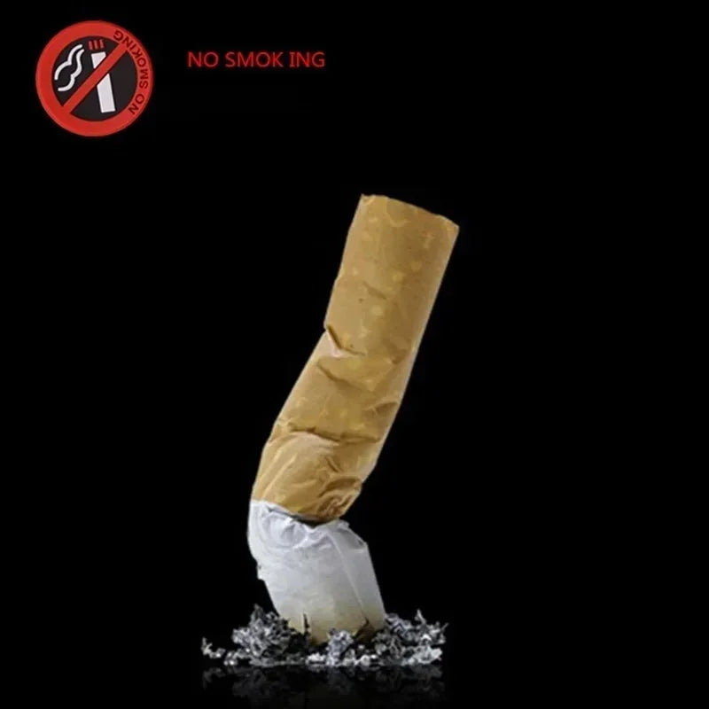 🚭 No Smoking Car Sticker
