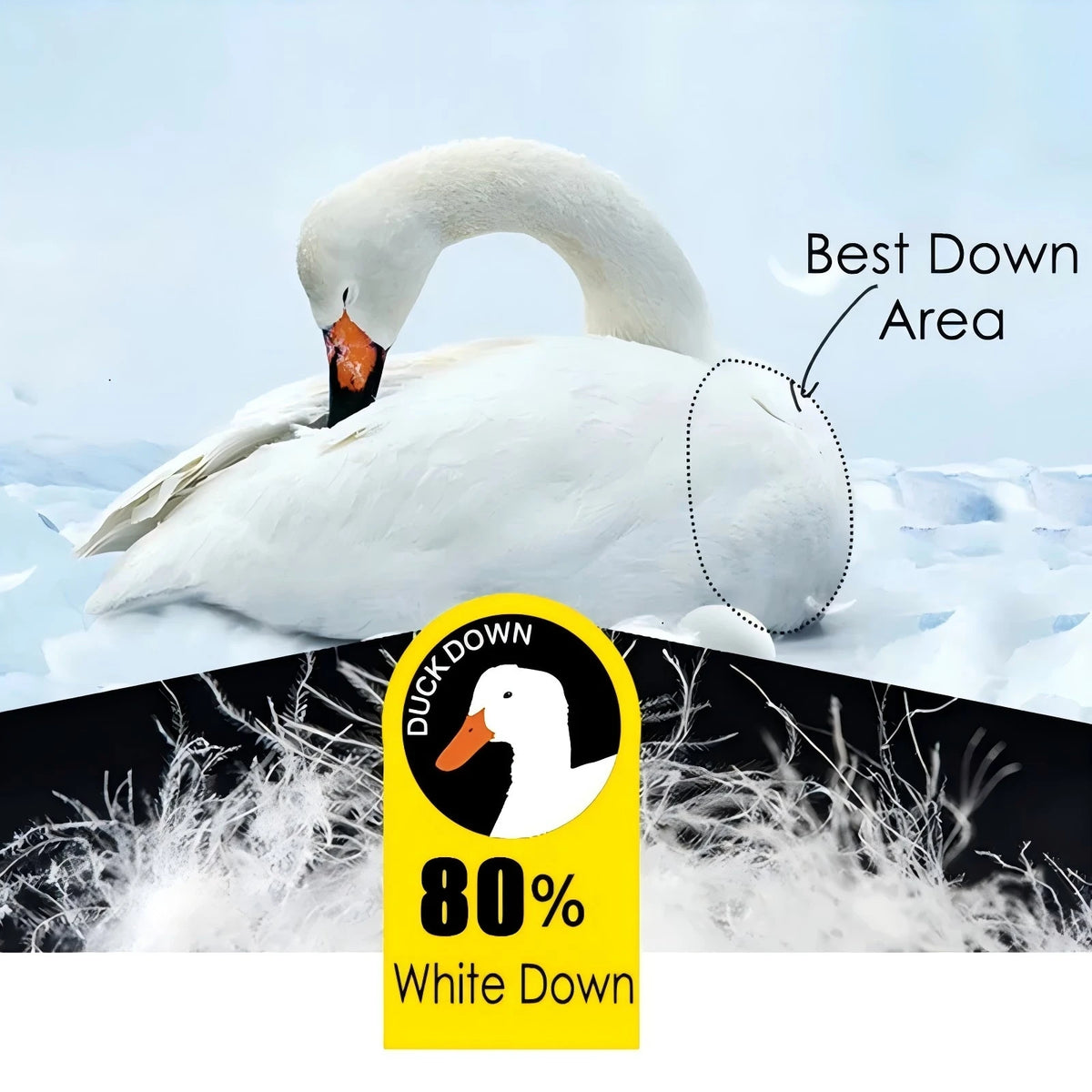 Men's Stand Collar Duck Down Puffer Jacket