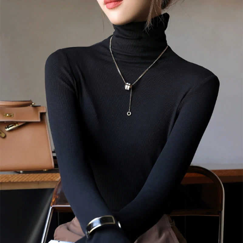 Basic Slim Turtleneck Knit Top