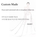 Sky Blue Tulle A-Line Evening Dress