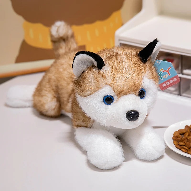 Lying Husky Plush Toy