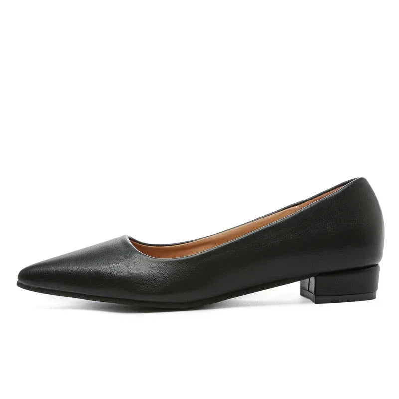 Women's Pointed-Toe Square-Heel Pumps