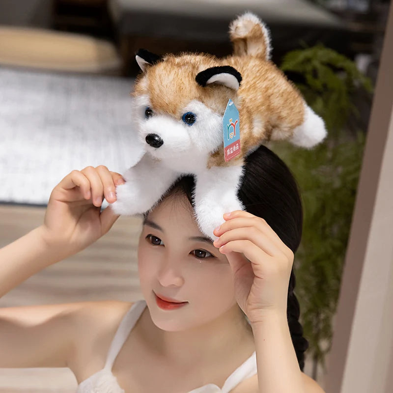 Lying Husky Plush Toy