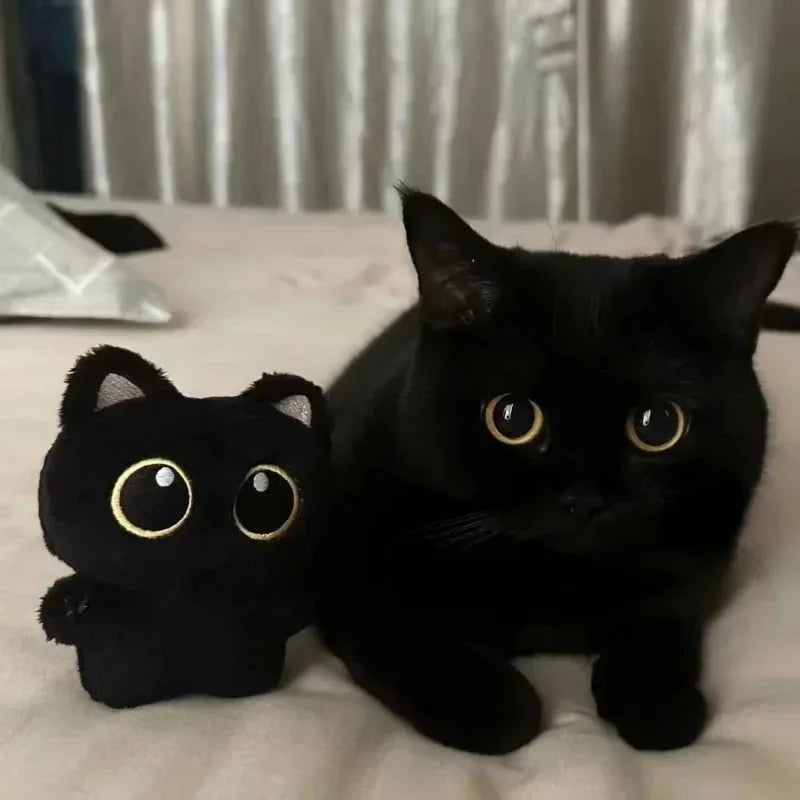 Black Cat Plush Toy