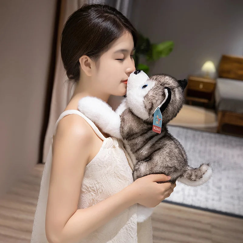 Lying Husky Plush Toy