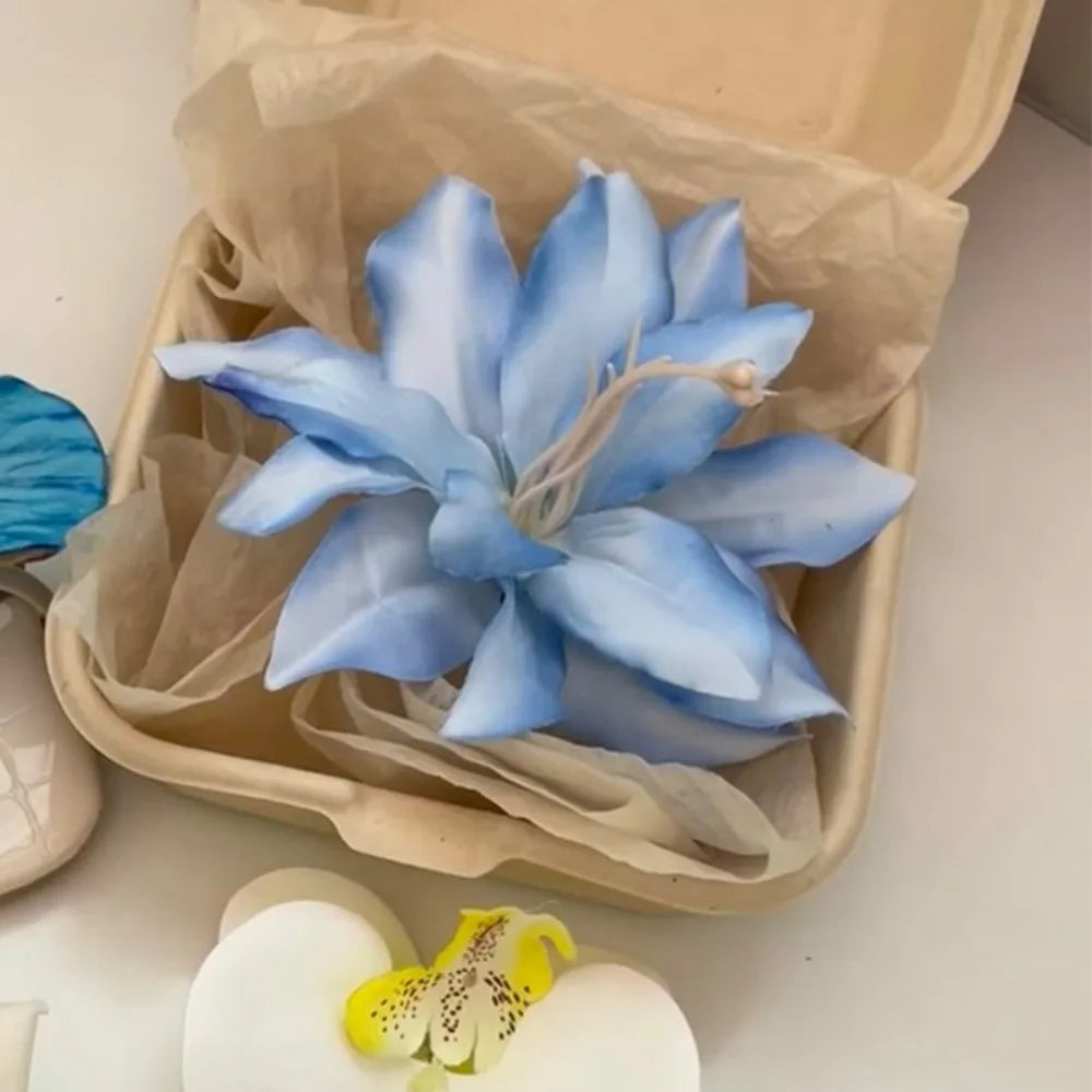 Butterfly Flower Shoe Buckle Clips