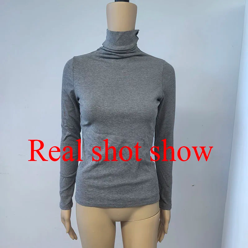 Basic Slim Turtleneck Knit Top