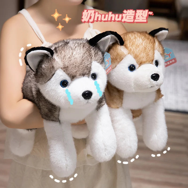 Lying Husky Plush Toy