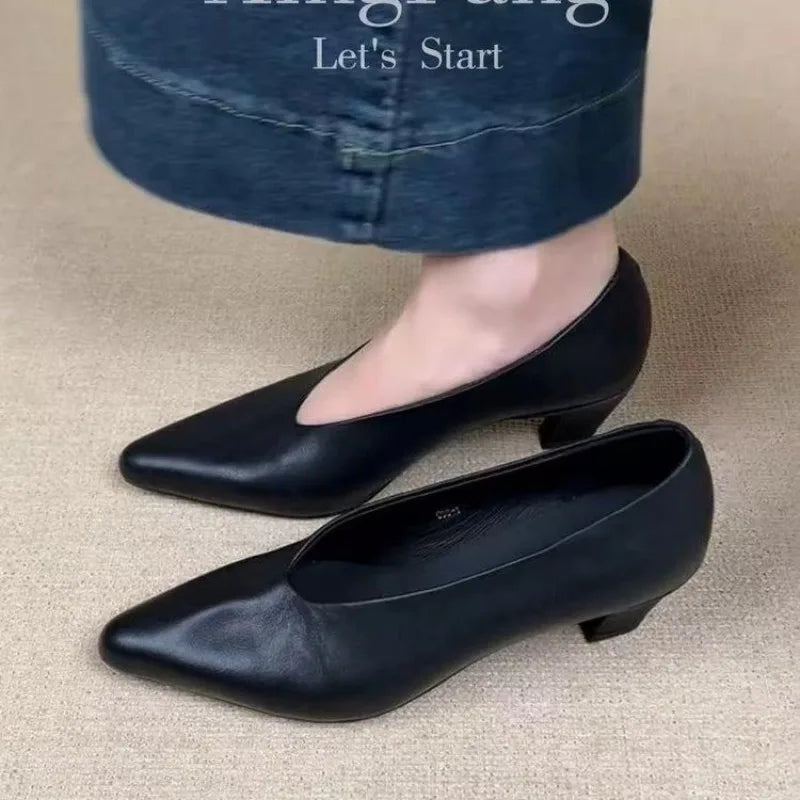 Women's Retro Pointed-Toe Pumps