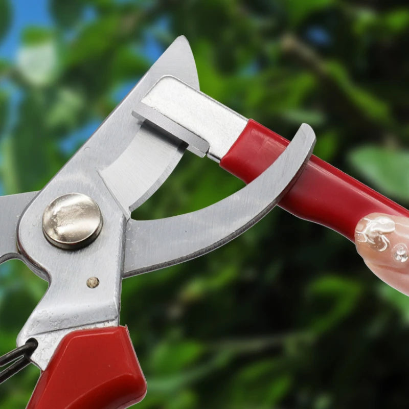 Diamond & Tungsten Knife Sharpener