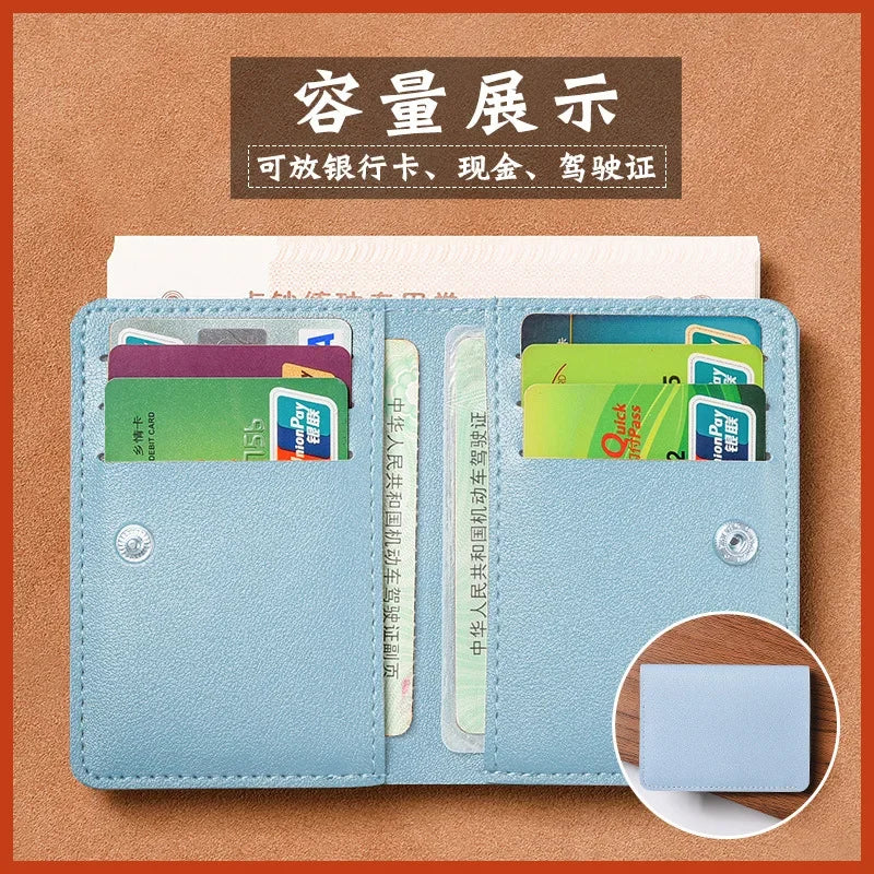 Clasp Coin Purse & Card Holder